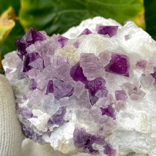 Purple-red fluorite octahedra on white recrystallised block from Zhejiang, China, detail of the matrix contact