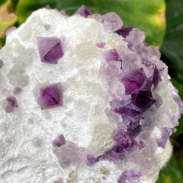 Purple-red fluorite octahedra on white recrystallised block from Zhejiang, China, side view