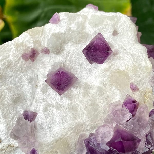 Purple-red fluorite octahedra on white recrystallised block from Zhejiang, China, close-up of terminations
