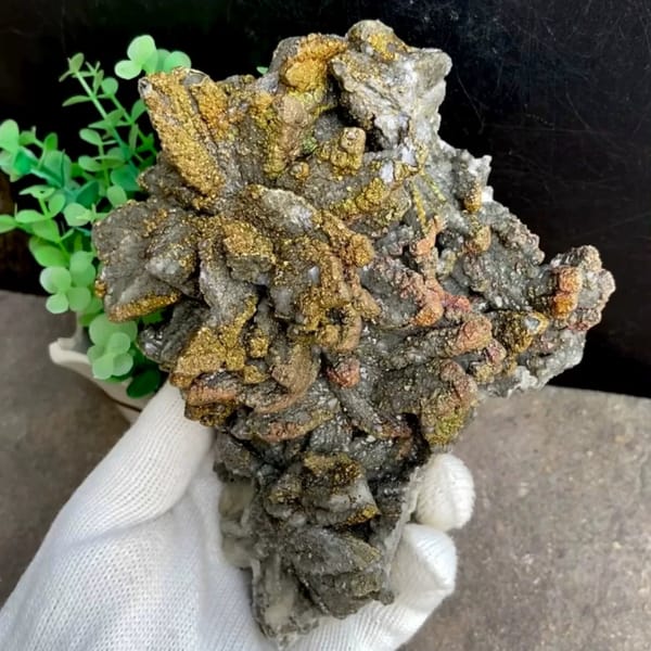Plate of petal calcite coated in iridescent pyrite from Hubei, China, held in gloved hand