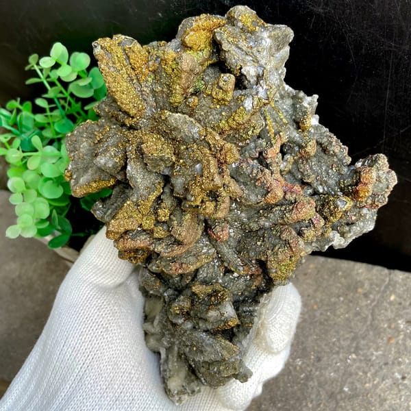 Plate of petal calcite coated in iridescent pyrite from Hubei, China, overall view