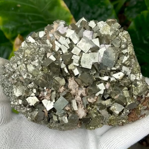 Dome of sharp brassy pyrite cubes from Shangbao, Hunan, China, held in gloved hand