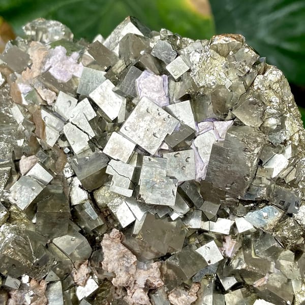 Dome of sharp brassy pyrite cubes from Shangbao, Hunan, China, reverse side