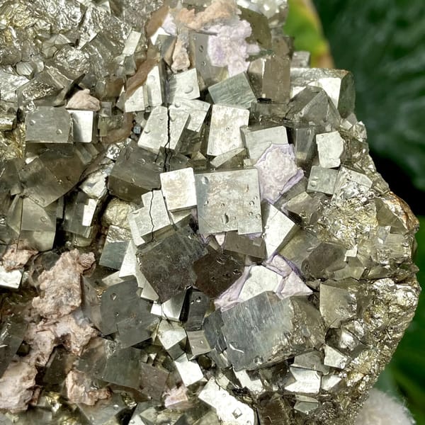 Dome of sharp brassy pyrite cubes from Shangbao, Hunan, China, top view