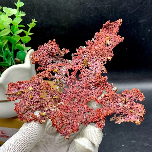 Dendritic sheet of red native copper with cuprite from Jiangxi, China, second angle