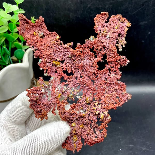 Dendritic sheet of red native copper with cuprite from Jiangxi, China, close-up of the crystal faces