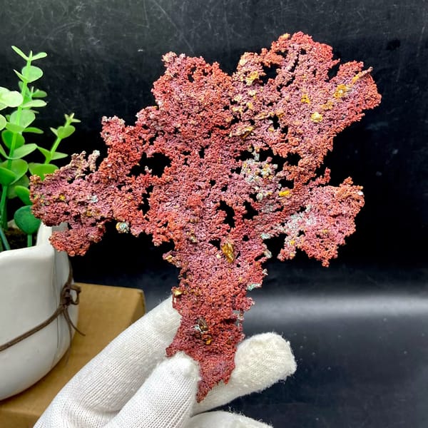 Dendritic sheet of red native copper with cuprite from Jiangxi, China, reverse side