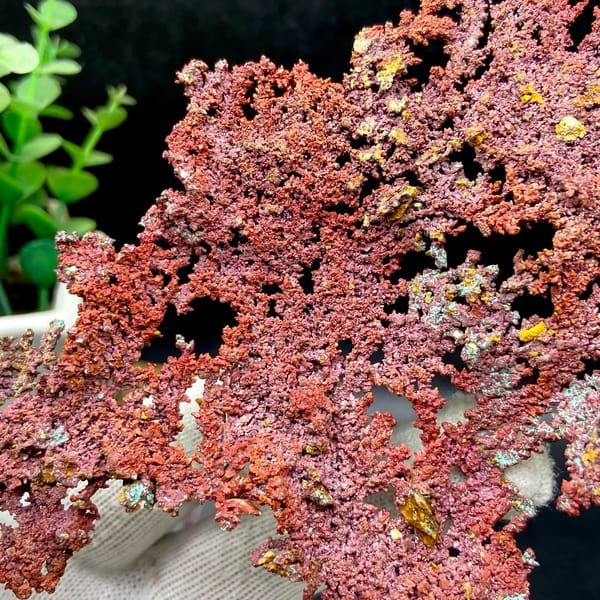Dendritic sheet of red native copper with cuprite from Jiangxi, China, top view