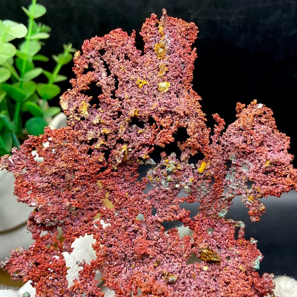 Dendritic sheet of red native copper with cuprite from Jiangxi, China, detail of the matrix contact