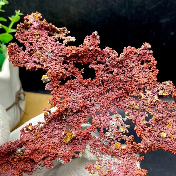 Dendritic sheet of red native copper with cuprite from Jiangxi, China, side view