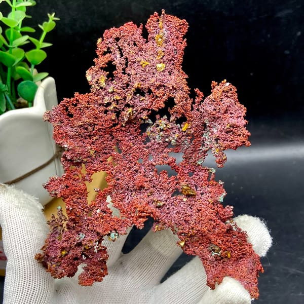 Dendritic sheet of red native copper with cuprite from Jiangxi, China, close-up of terminations