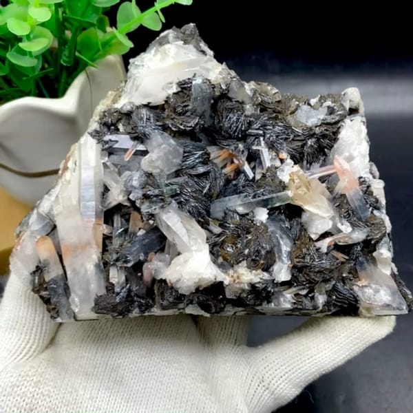 Plate of black specular hematite with quartz prisms from Guangdong, China, held in gloved hand