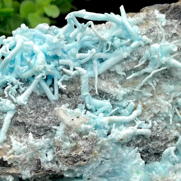 Plate of sky-blue acicular aragonite over grey rock from Guizhou, China, second angle