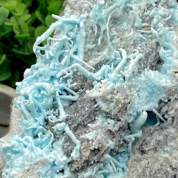 Plate of sky-blue acicular aragonite over grey rock from Guizhou, China, close-up of the crystal faces