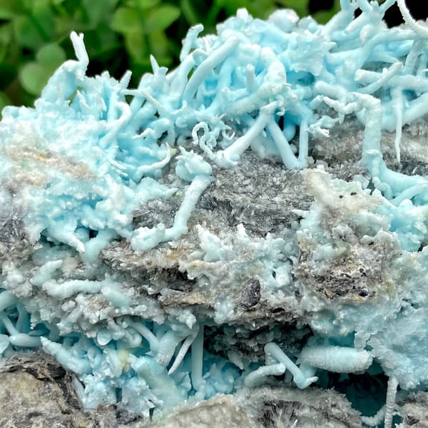 Plate of sky-blue acicular aragonite over grey rock from Guizhou, China, reverse side