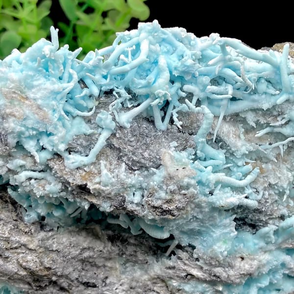 Plate of sky-blue acicular aragonite over grey rock from Guizhou, China, top view