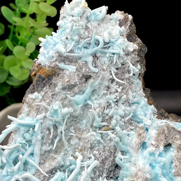 Plate of sky-blue acicular aragonite over grey rock from Guizhou, China, detail of the matrix contact