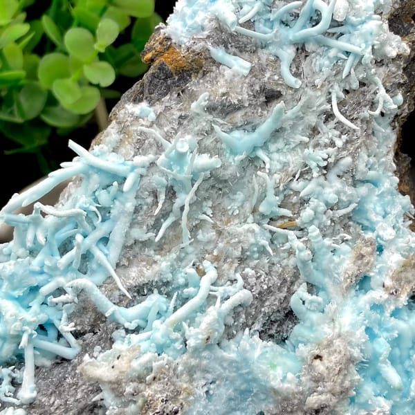 Plate of sky-blue acicular aragonite over grey rock from Guizhou, China, side view