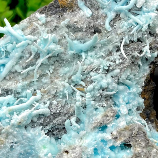 Plate of sky-blue acicular aragonite over grey rock from Guizhou, China, close-up of terminations