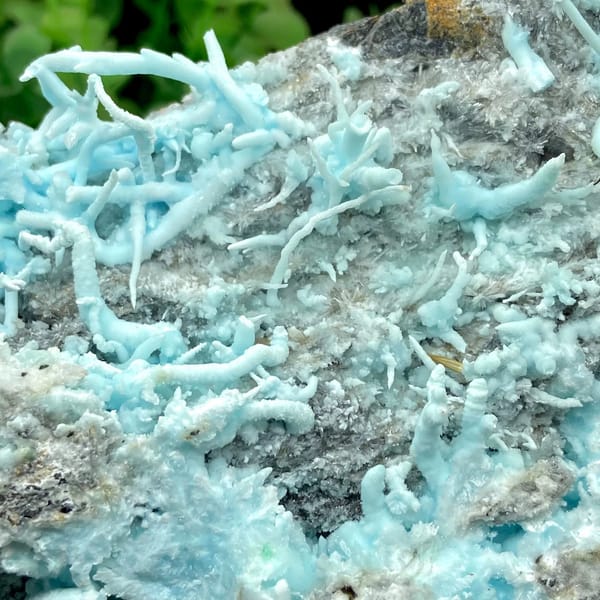Plate of sky-blue acicular aragonite over grey rock from Guizhou, China, overall view