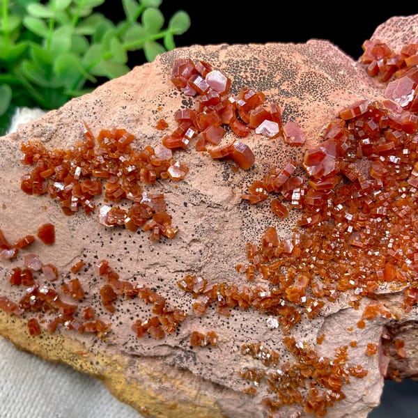 Red vanadinite crystals over salmon plate from Morocco, second angle