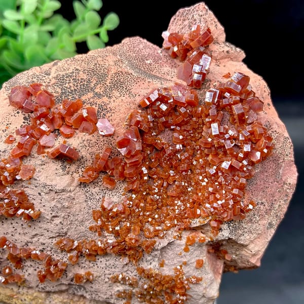 Red vanadinite crystals over salmon plate from Morocco, close-up of the crystal faces