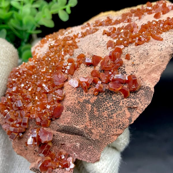 Red vanadinite crystals over salmon plate from Morocco, reverse side