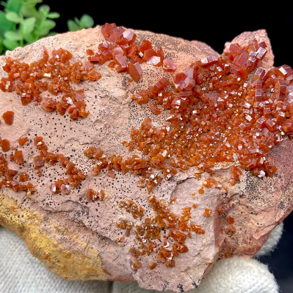 Red vanadinite crystals over salmon plate from Morocco, detail of the matrix contact