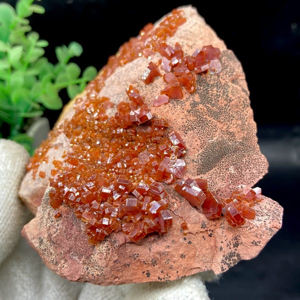 Red vanadinite crystals over salmon plate from Morocco, side view