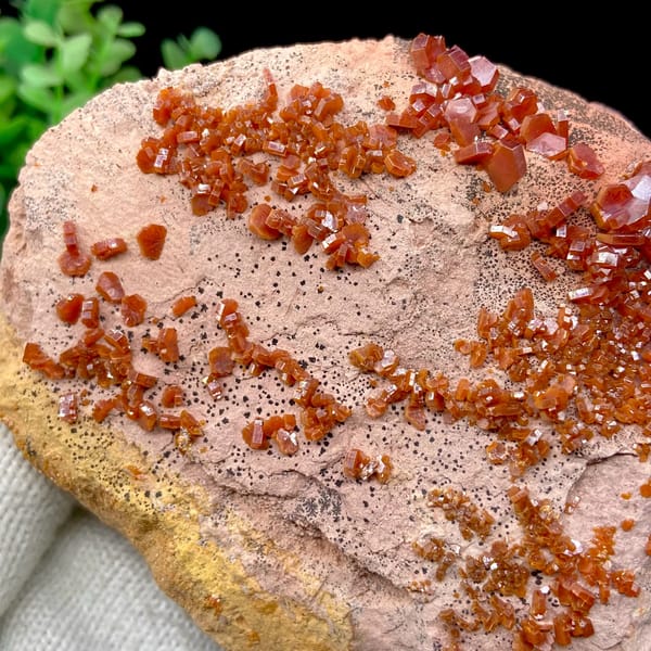 Red vanadinite crystals over salmon plate from Morocco, close-up of terminations
