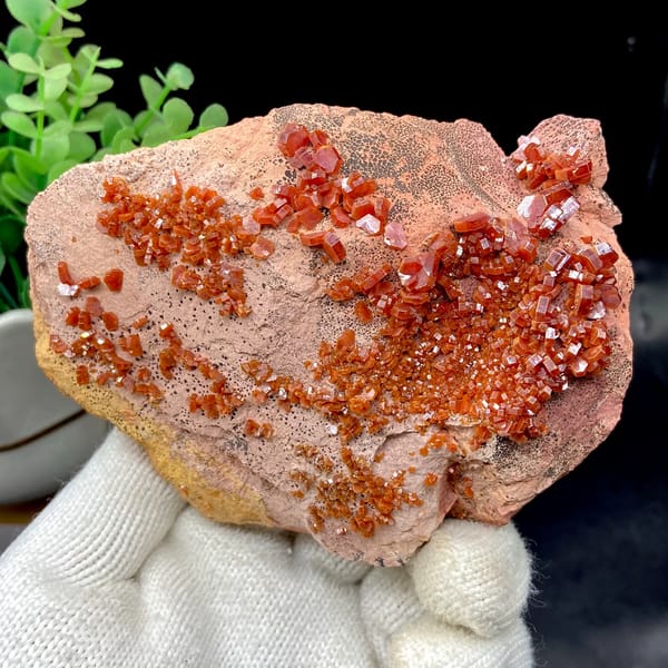 Red vanadinite crystals over salmon plate from Morocco, overall view