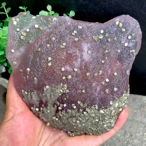 Pink-purple botryoidal fluorite dome speckled with pyrite from Jiangxi, China, held in gloved hand