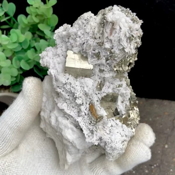 Pyrite cluster set in white matrix from Shangbao, Hunan, China, held in gloved hand