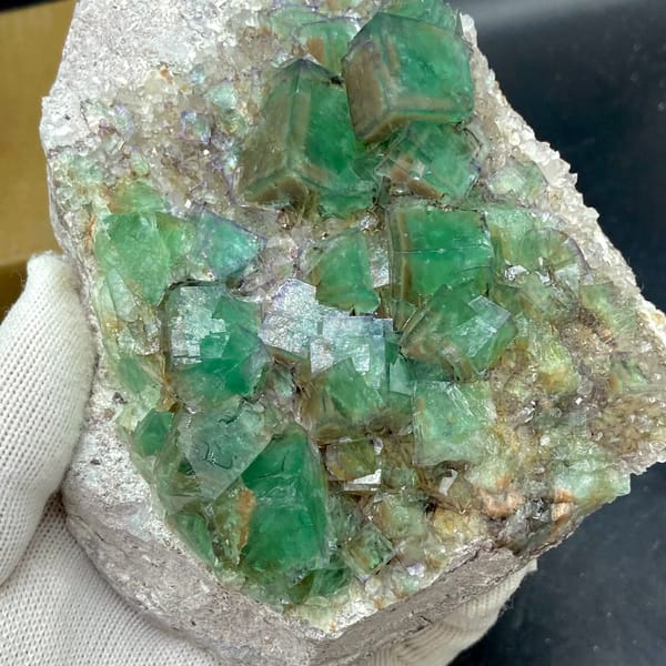 Plate of glassy green fluorite cubes with purple edges from Hebei, China, reverse side