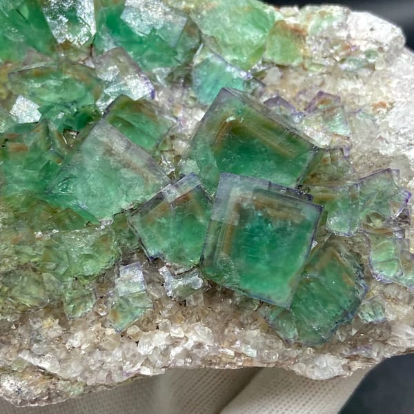 Plate of glassy green fluorite cubes with purple edges from Hebei, China, detail of the matrix contact