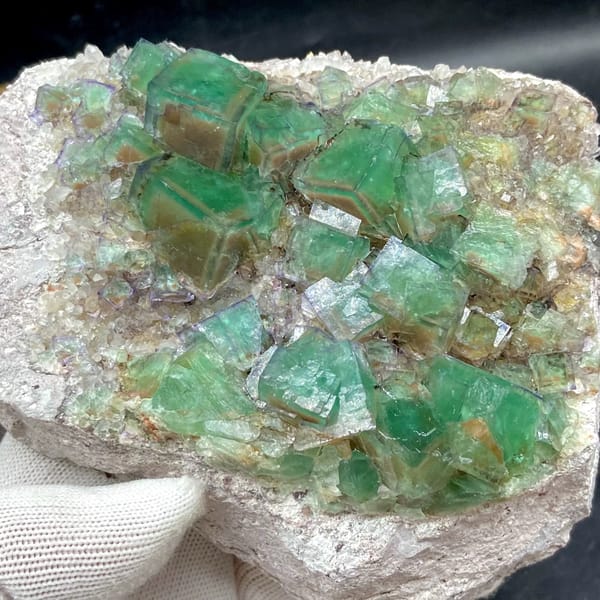 Plate of glassy green fluorite cubes with purple edges from Hebei, China, side view
