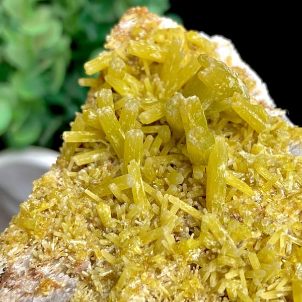 Tall plate of golden-yellow pyromorphite prisms from Guangxi, China, top view