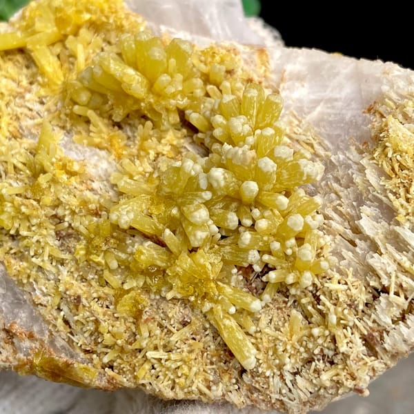 Tall plate of golden-yellow pyromorphite prisms from Guangxi, China, side view