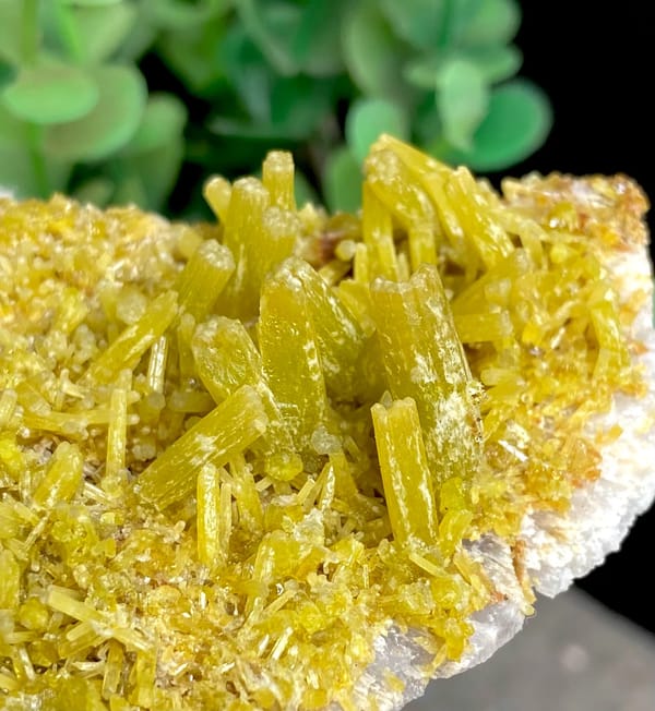 Tall plate of golden-yellow pyromorphite prisms from Guangxi, China, close-up of terminations