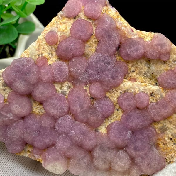 Dusty pink botryoidal fluorite balls on tan plate from Henan, China, close-up of the crystal faces