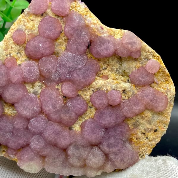 Dusty pink botryoidal fluorite balls on tan plate from Henan, China, reverse side