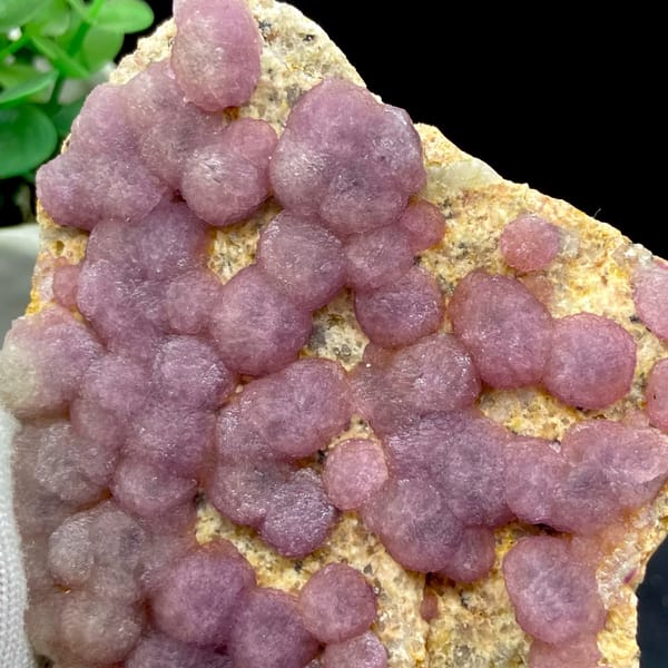 Dusty pink botryoidal fluorite balls on tan plate from Henan, China, top view