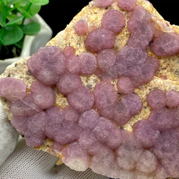 Dusty pink botryoidal fluorite balls on tan plate from Henan, China, detail of the matrix contact