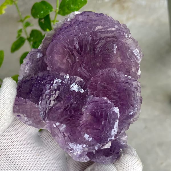 Dome of stepped purple fluorite from Henan, China, close-up of the crystal faces