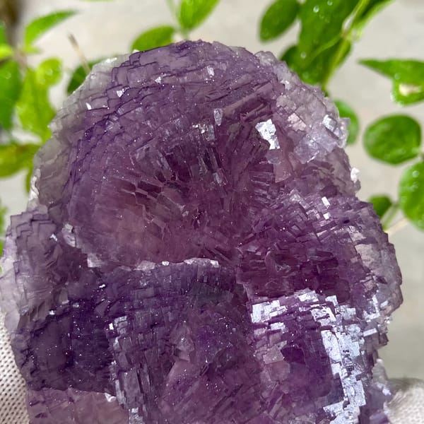 Dome of stepped purple fluorite from Henan, China, reverse side