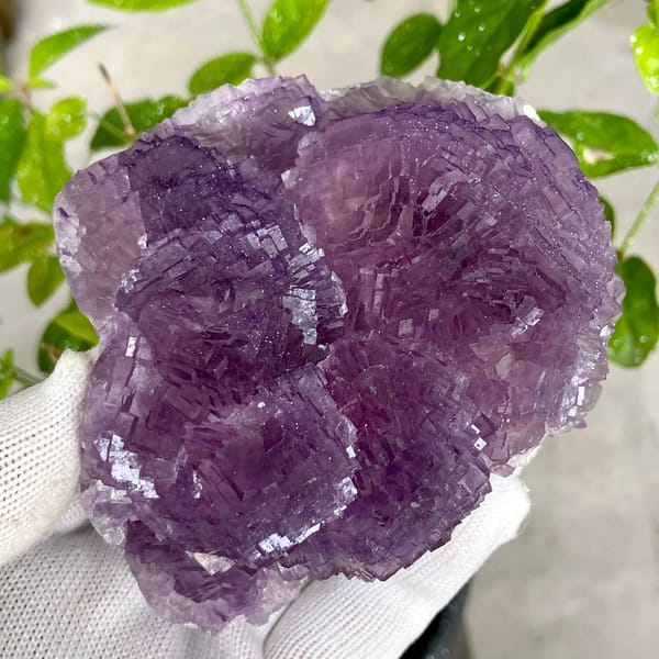 Dome of stepped purple fluorite from Henan, China, top view