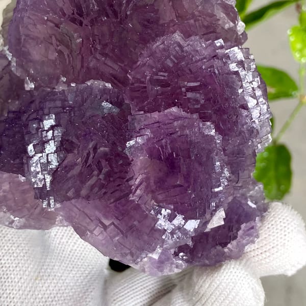 Dome of stepped purple fluorite from Henan, China, side view