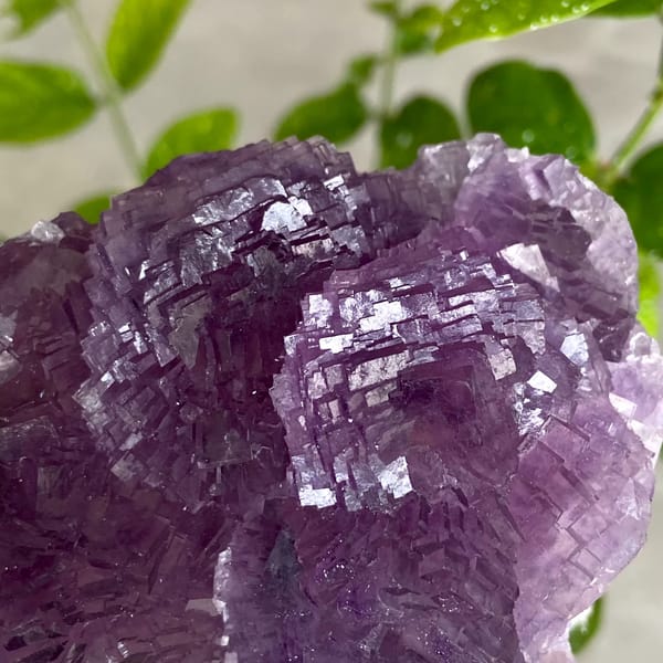 Dome of stepped purple fluorite from Henan, China, close-up of terminations