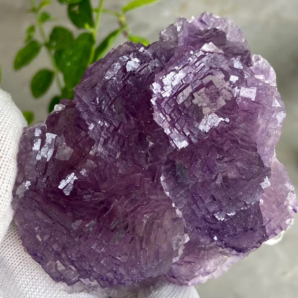 Dome of stepped purple fluorite from Henan, China, overall view