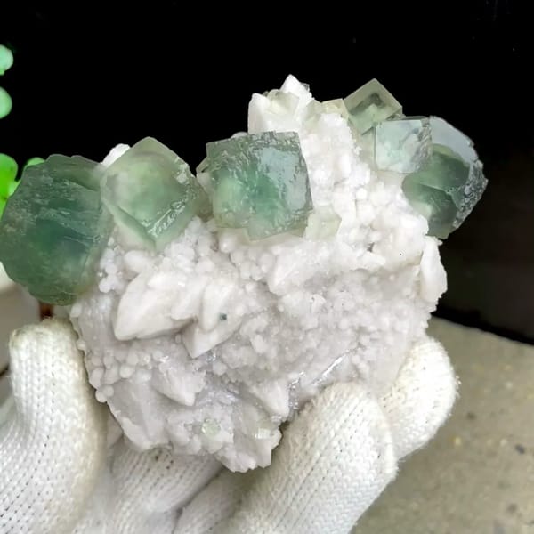 Sea-green fluorite cubes crowning white quartz cluster from Inner Mongolia, China, held in gloved hand